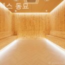 스파렉스 이미지