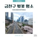 벚꽃로 | [세 자매 log] 요즘 뜨는 벚꽃 명소, 도로명 자체도 벚꽃로인 이곳! 가산디지털단지역에서 벚꽃 즐기기🌸