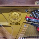 화명대로 이미지