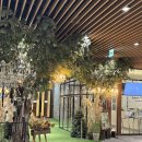 정원파크 | 💐보타닉파크 실내 정원 후기