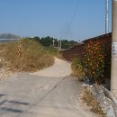 백구초등학교 이미지