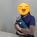 서창사랑동물병원 이미지