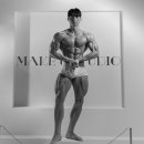 파프짐 도곡점 이미지