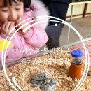 원주곤충마을박물관 | 원주 가볼만한곳 원주곤충박물관 원주곤충마을 오크밸리 여행 마지막 코스