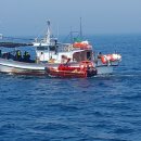 시장유통 이미지