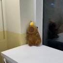 제주532스테이 | 웨딩촬영을 곁들인.. 제주 2박3일