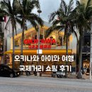 공감36 | 오키나와 국제거리 여행 후기 36개월 아이와 기념품 돈키호테 쇼핑