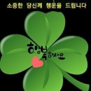 [컬럼] 사랑은 율법의 완성입니다 이미지