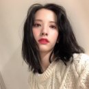 보나 이미지