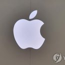 애플 연합뉴스