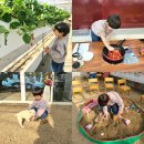 경기광주 아이와 딸기체험 잼만들기까지 향아농원