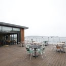 베이브리즈 이미지