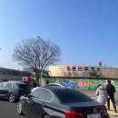 [여수] 여수예술랜드 당일 취소가능한 사전 예약으로 할인 받고 미디어아트 조각공원 다녀오기(feat...