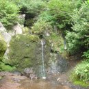 관음사 화장실 이미지