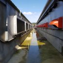 거농농장 이미지