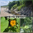해원농장 네이버블로그