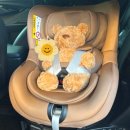 고등현대서비스 | 태아보험 내돈내산 현대 DB 견적비교