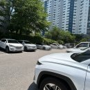 착한시루떡 | 수원 떡 맛집 꿀떡 절편 인절미 시루떡 바람떡이 맛있는 영통낙원떡집
