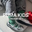 319 | 푸마키즈 스피드캣 발렛 키즈실버 후기 PK65AS319 초등학생신발추천