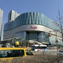 홍매화PC방 | 3월 넷째주, 진짜 봄이다 ! 스타필드도 가고, 역대급 바쁜 한주