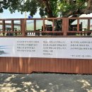 신촌 여행 이미지