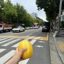 큐 떼구루 이미지