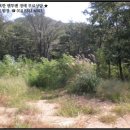 교동면-2 이미지