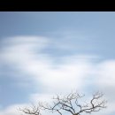 제주하늘바람 이미지