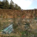 내사농장 이미지