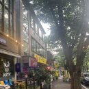 딸부자집 | 안양예술공원 맛집 딸부자집에서 미나리 삼겹살 먹은 후기