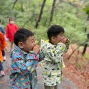 자연과 콩 이미지