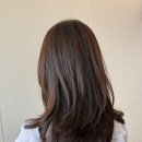예솔약국 | 대전 레이어드 컷 잘하는 곳, 대전 미용실 찐으로 추천하는 보그 헤어 대전 신세계백화점 미용실 Art...