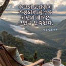 서계경로당 Daum카페
