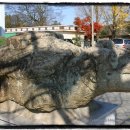 병영면사무소 이미지