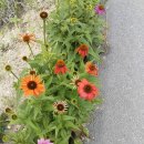 길손농장 이미지