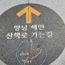 울릉도 여행 이미지