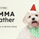 펫플래닛 이미지