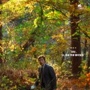 어쩔수가없다. 이미지