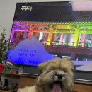 모글리하우스 이미지