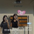 주식회사 키베이직 | 한남동 쇼룸 투어, 타낫 엔조블루스 로에일 러프사이드 후기