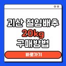 양달농장 | 괴산 절임배추 20kg 가격 비교 구매 팁