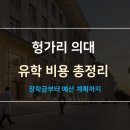 헝가리 의대 진학 시 경제적 이점과 현실적 예산 가이드 이미지
