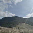 영남농장 이미지