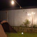 메리지아레 이미지