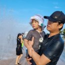 블루비치 관광농원 이미지