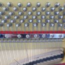 칸타빌레음악학원 이미지