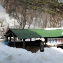 국립대관령자연휴양림 이미지