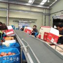 무주 농산물산지유통센터 이미지