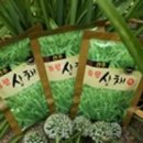 파주유황삼채 | <선주유황삼채> 삼채 들깨강정 식품 명절세트 건강간식 영양 자연의 맛 아피오스 추천