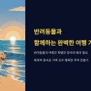 반려동물과 행복한 여행 준비